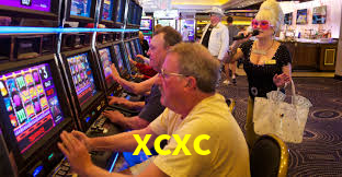 xcxc: Seu Especialista em Apostas Esportivas Brasileiras